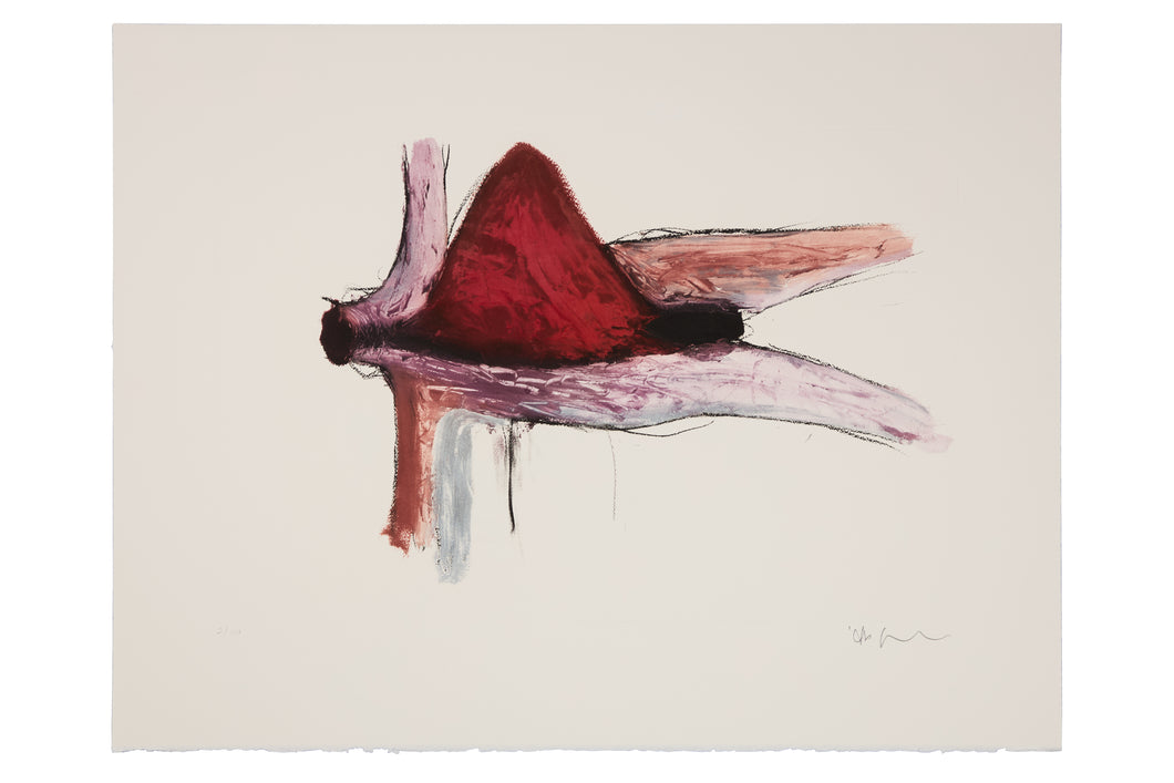 Anish Kapoor