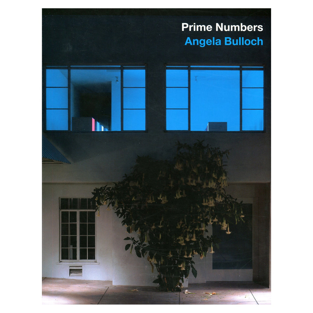 Angela Bulloch: Prime Numbers